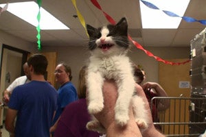 Smiling cat being adopted at a Portland pet adoption event