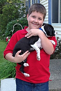 Pitbull dog who was helped through the Fix-a-Bull program being held by a boy