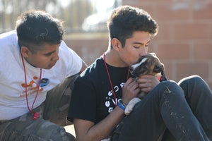 Boys making new friends with puppies