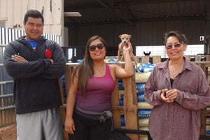Blue Buffalo pet food donation to No More Homeless Pets Network partner