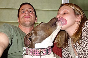 Giah the dog kissing Nicole with Jeremy