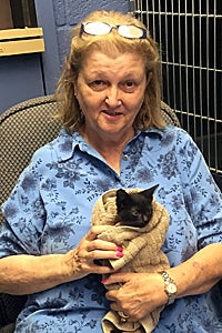 Collins the kitten being held at Animal Ark Rescue