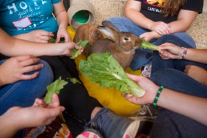 Girls from the Re-Creation Retreat residential treatment center feeding a rabbit lettuce at Best Friends Animal Sanctuary