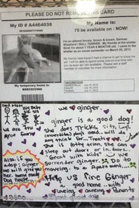 The handwritten note about Ginger