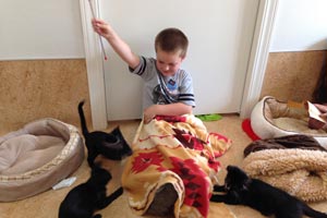 Six-year-old Ethan playing with the cats at Cat World at Best Friends Animal Sanctuary