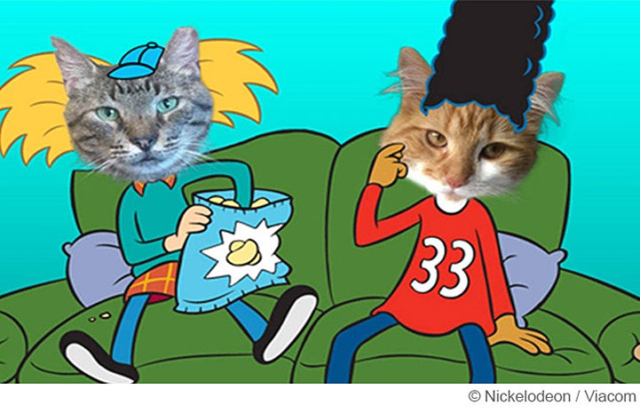 Major's famous, having been featured on a Nickelodeon cat-related promo