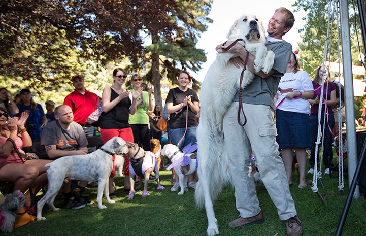 Great pyrenees dog with his person at Strut Your Mutt
