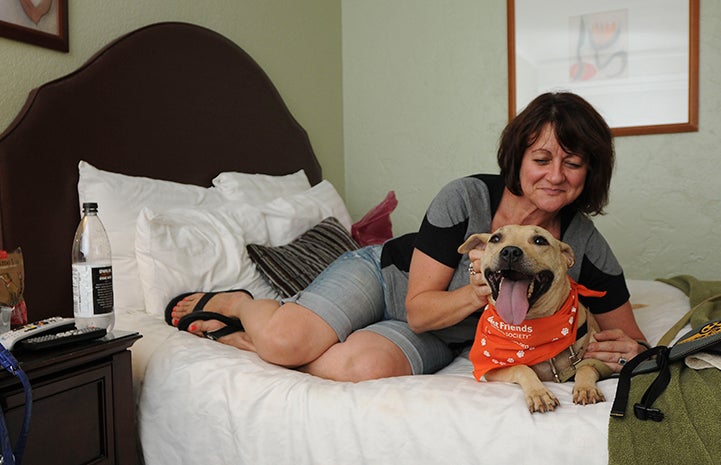 Dog sitting on a bed with a woman