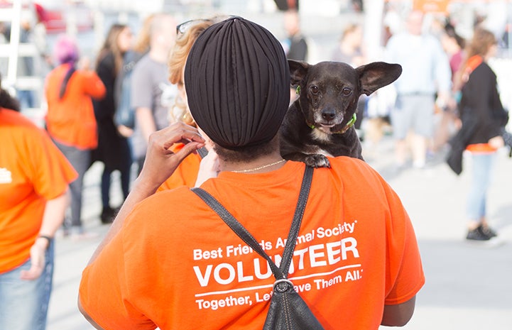 Volunteer holding small black dog at Strut Your Mutt