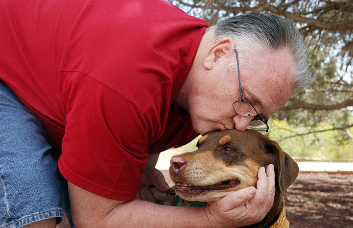 Best Friends Day 2016: Boomer the dog adoption