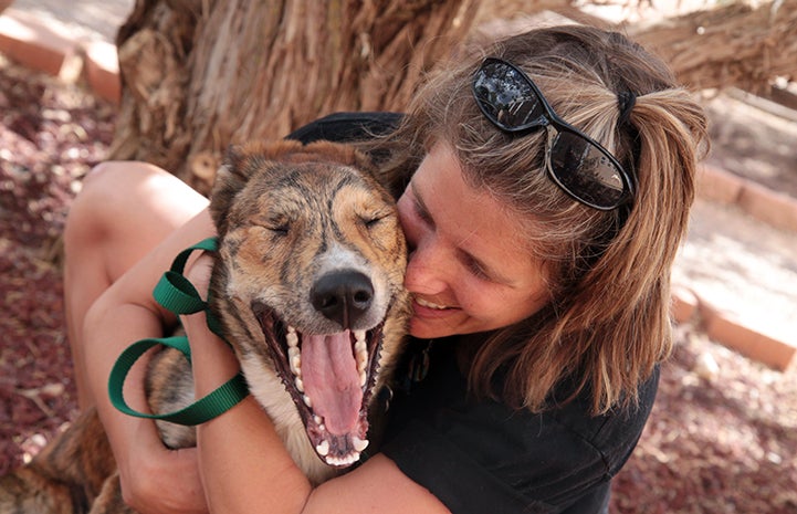 Best Friends Day 2016: Dana the dog being adopted