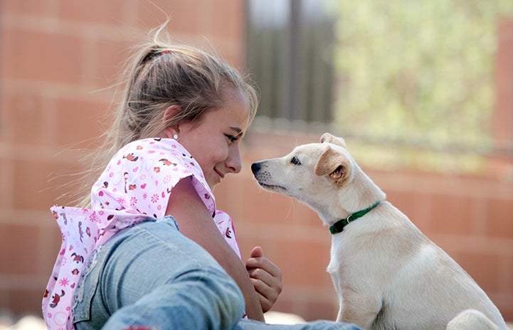 Best Friends Day 2016: Thebes the dog with a young girl