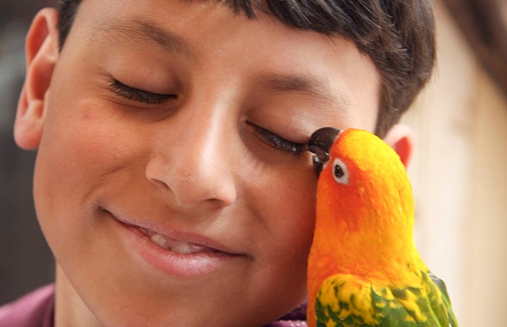 Best Friends Day 2016: Timella the parrot and a young boy