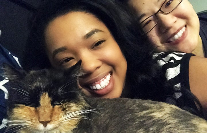 Erin says Bay Bay has Bay Bay has taught to not be afraid of adopting a cat with FIV