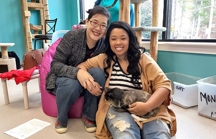 Bay Bay's adoption from Good Mews Animal Foundation, a Best Friends No More Homeless Pets Network partner