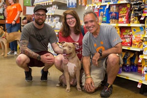 Porkchop the pint-sized pit bull terrier mix with his new family