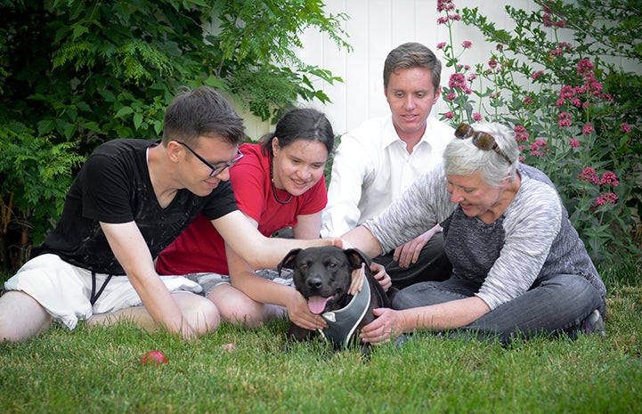 Geneva, the black Labrador retriever and pit-bull-terrier mix, with her new family