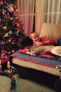 Maggie the purebred German shorthaired pointer fits right in with her new adoptive family. Here she is snuggling with a boy by the Christmas tree.