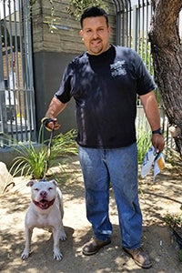 Dude, a handsome white pit bull terrier mix, went home with a new dad