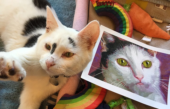 Cookie the cat with picture of Noah the cat