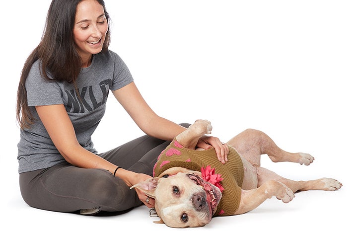 When Roomba first came to the center, she made it clear that she loves both belly rubs