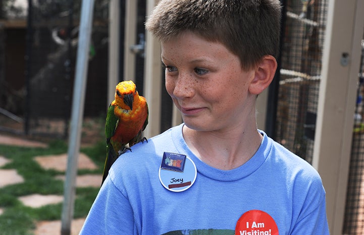 Parrot grateful for volunteers at Thanksgiving