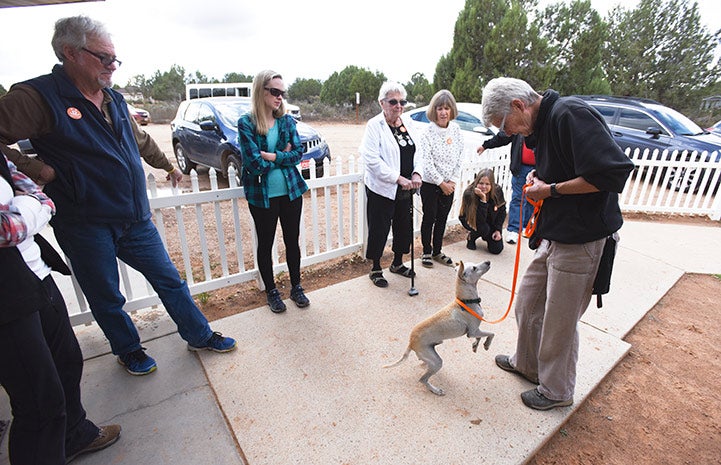 Ando transformed from a shy dog to a social butterfly who happily greeted Dogtown tours