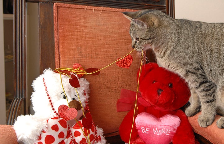 Come on, let’s act out the spaghetti scene from Lady and the Tramp.