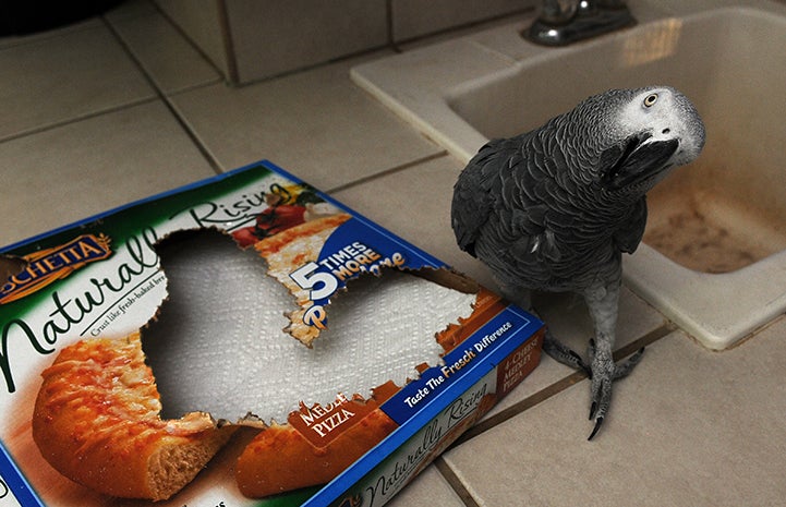 Look, I made you a valentine.