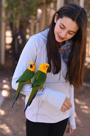 Volunteer Georgia with Mork and Mindy at Parrot Garden