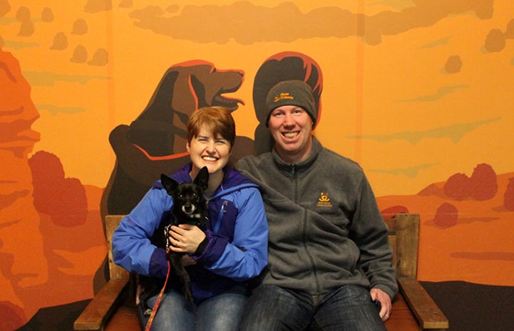 Kat and Dwayne loved the sleepovers with Clank the Chihuahua mix so much, they adopted him