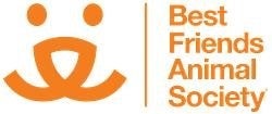 BFAS logo