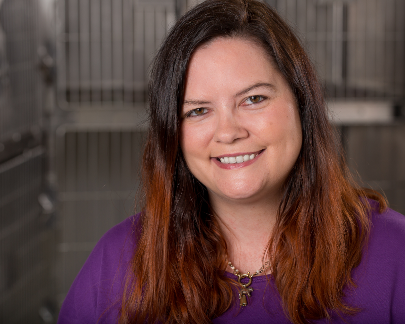 Brittany Pace Spay Memphis