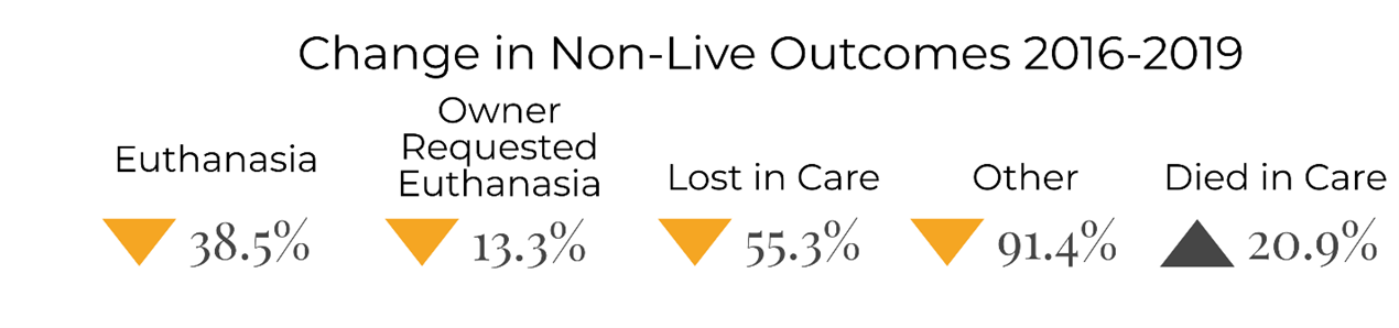 Change in non-live outcomes by type chart