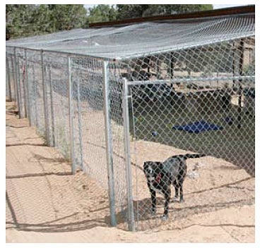 dog in full covering fence