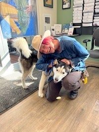 a husky mix dog receiving pets from owner