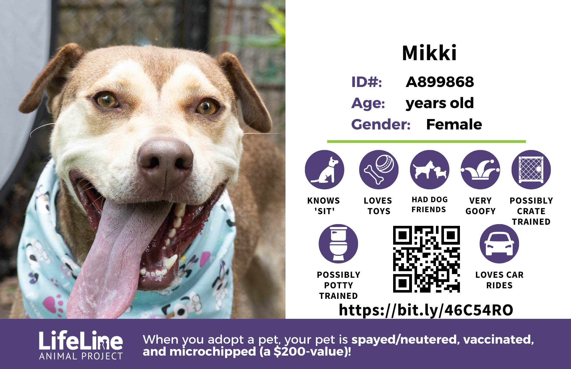 Lifeline Animal Project kennel card example