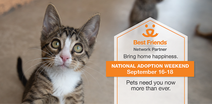 Brittany Sorgenstein Best Friends Animal Society