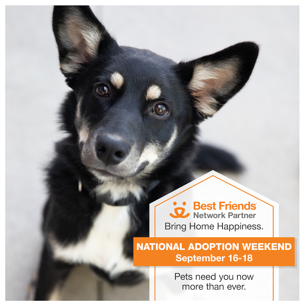 Best Friends Animal Society Adoption Event Promotional Image