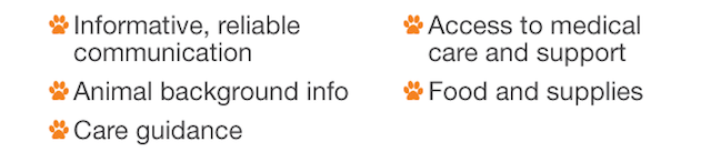 6 bullet points of foster expectations