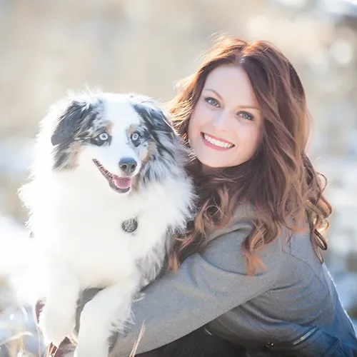 Alisa Johnson - Dogs on Deployment