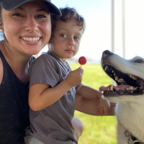 Hillary Ruff Dogs on Deployment