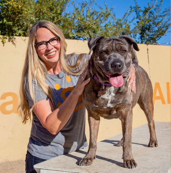 Julie Castle Best Friends Animal Society