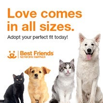 Love comes in all sizes