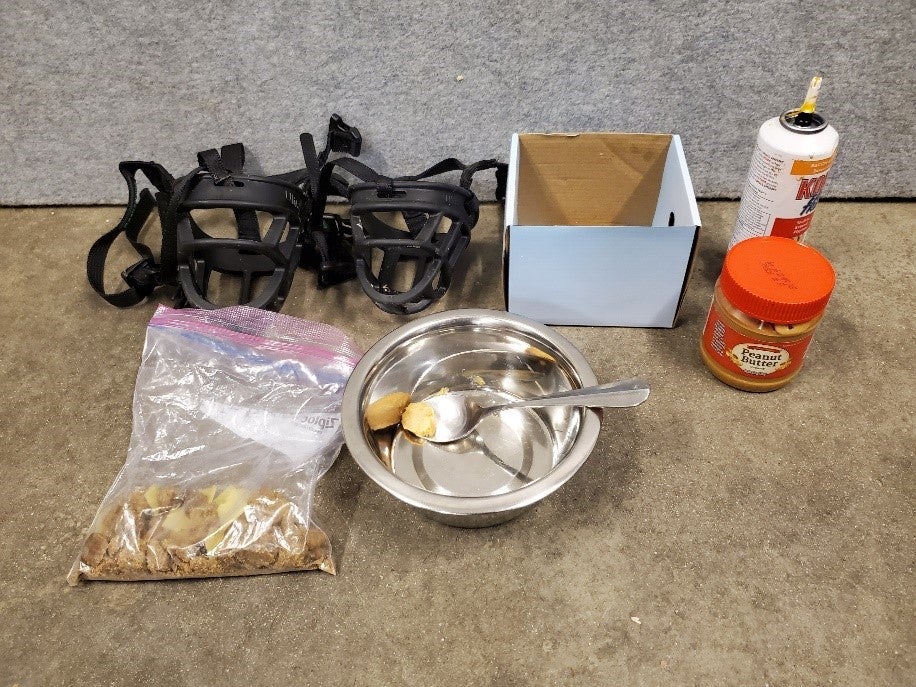 Tools needed for muzzle training a dog