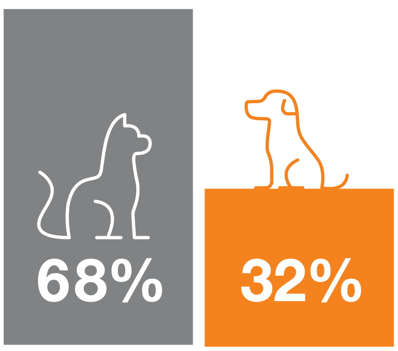 dog and cat bar graph
