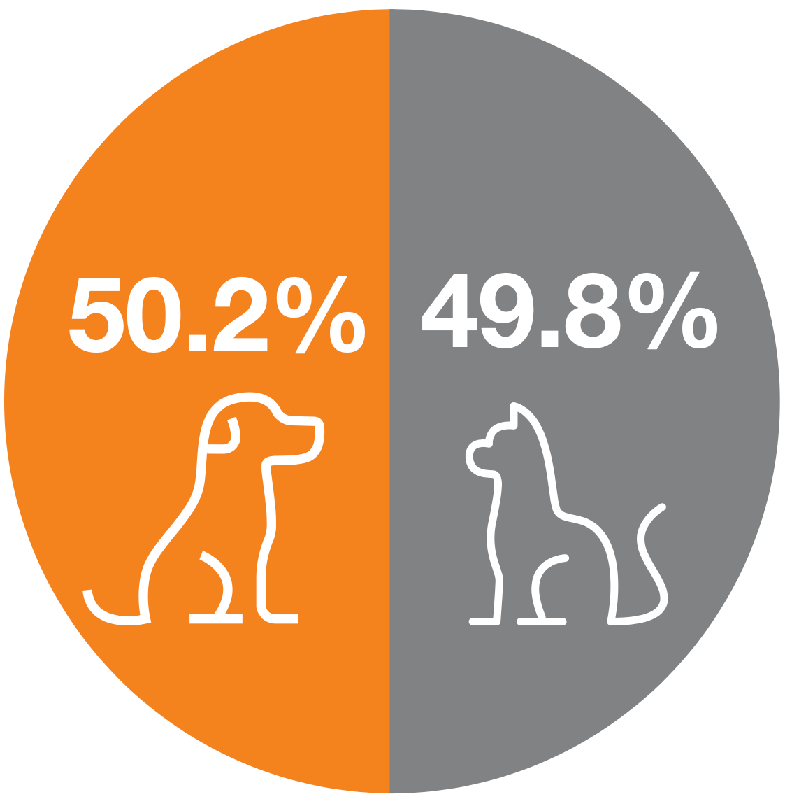 dog and cat pie chart