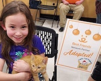 orange kitten adopted at an event held by a little girl