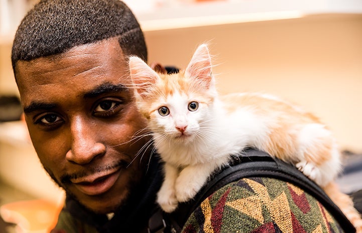 Man with a small cream and white kitten lying over his shoulder