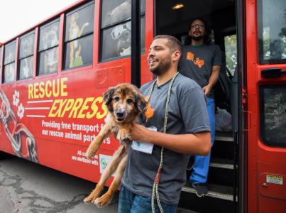Person stepping out of a transport bus while holding a happy dog